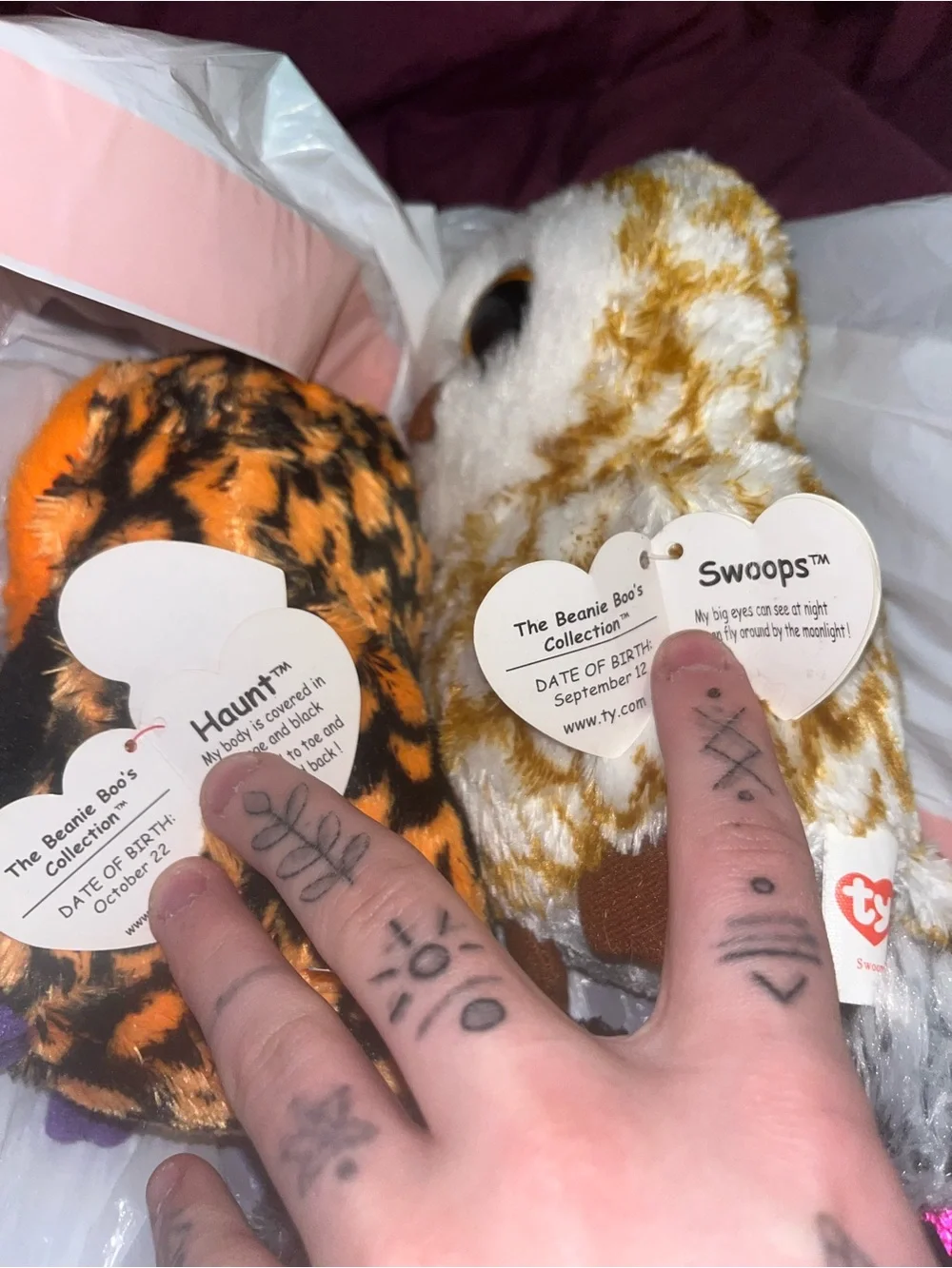 Ty beanie babies Plush Halloween Owl lot of 4 haunt swoops Hyde midnight